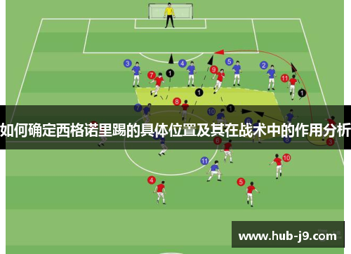 如何确定西格诺里踢的具体位置及其在战术中的作用分析