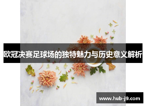 欧冠决赛足球场的独特魅力与历史意义解析